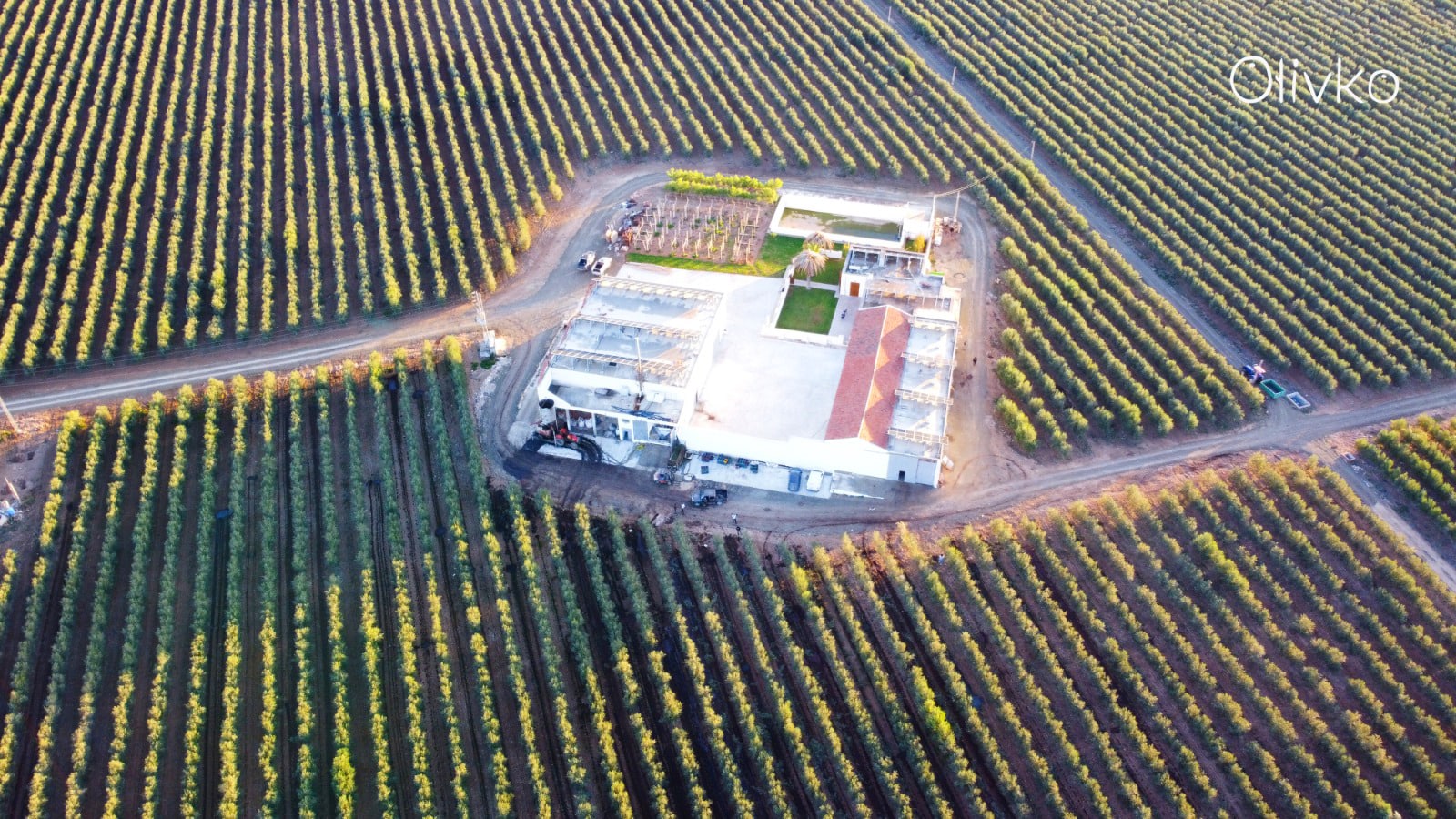 222WhatsApp-Image-2024-03-07-at-16.3711-min (1)