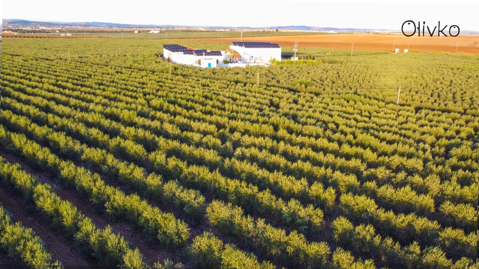 WhatsApp-Image-2024-03-07-at-16-min