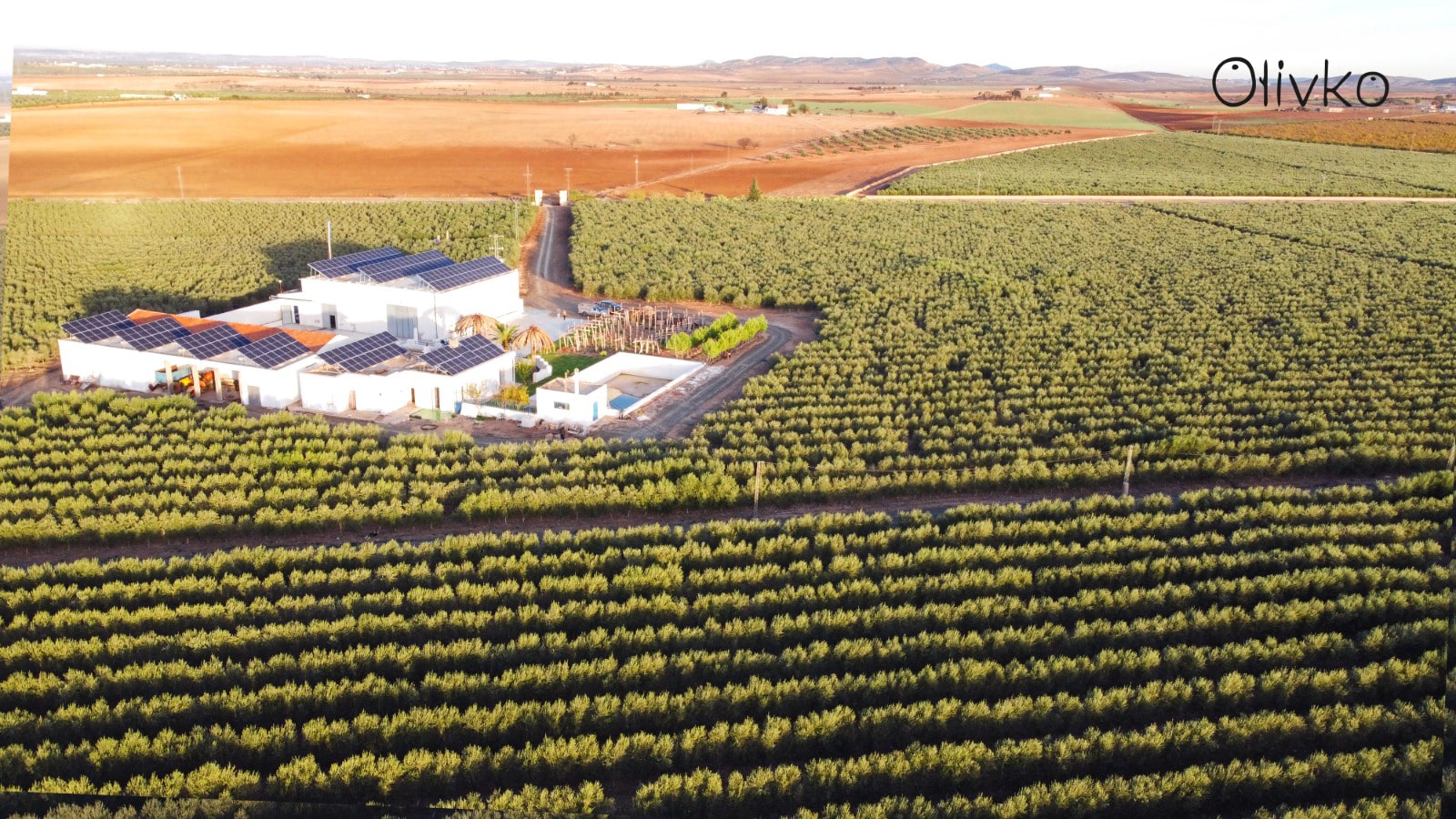 WhatsApp-Image-2024-03-07-at-16.37-min