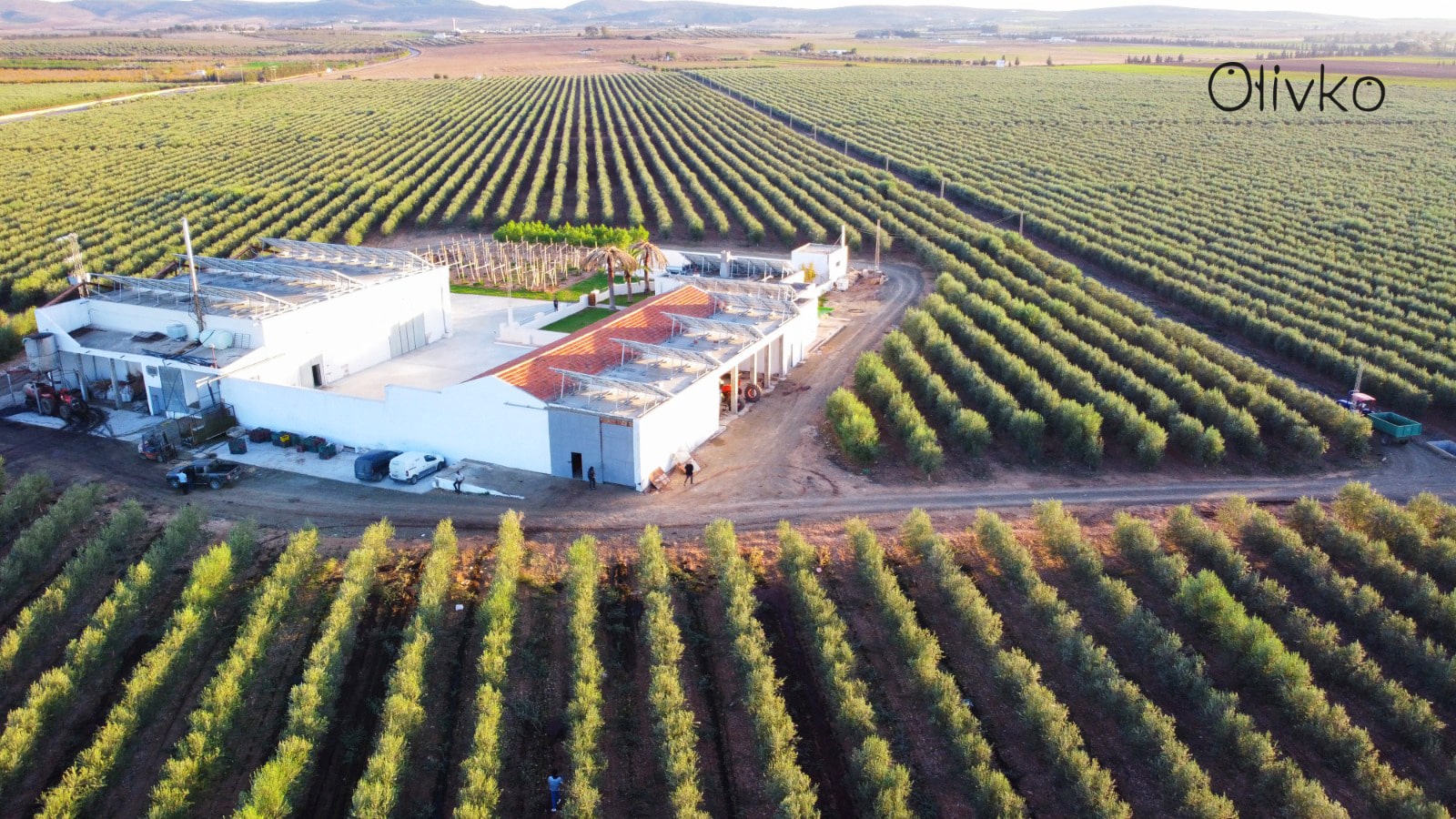 WhatsApp-Image-2024-03-07-at-16.3711-min