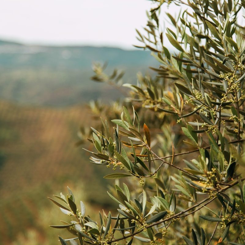 karsten-wurth-JVc7HuM8oS8-unsplash-min